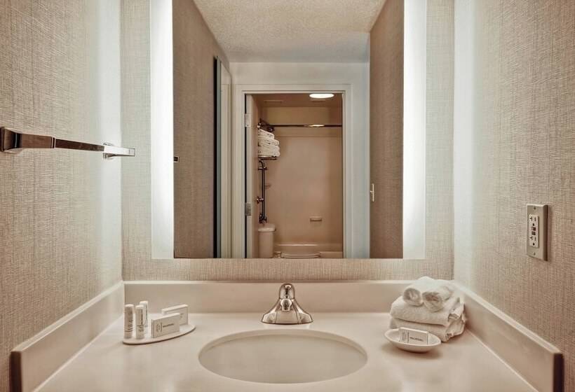 스탠다드 스튜디오, Springhill Suites By Marriott Baltimore Bwi Airport
