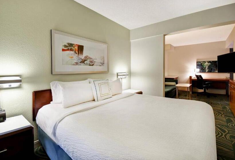 스탠다드 스튜디오 킹침대, Springhill Suites By Marriott Baltimore Bwi Airport