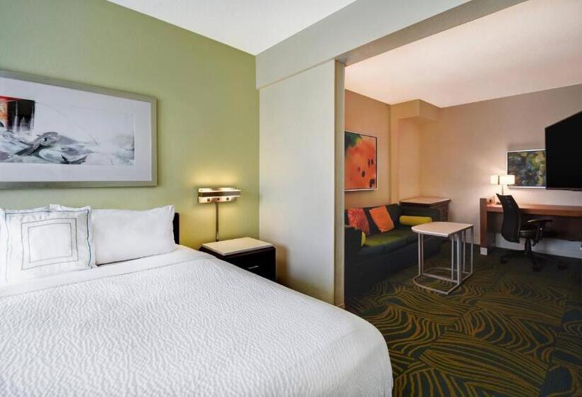 스탠다드 스튜디오 킹침대, Springhill Suites By Marriott Baltimore Bwi Airport
