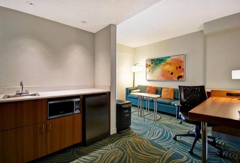 스탠다드 룸 킹사이즈 침대, Springhill Suites By Marriott Baltimore Bwi Airport