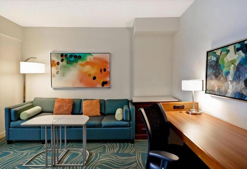 스탠다드 룸 킹사이즈 침대, Springhill Suites By Marriott Baltimore Bwi Airport