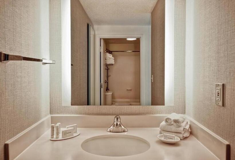 스탠다드 룸, Springhill Suites By Marriott Baltimore Bwi Airport