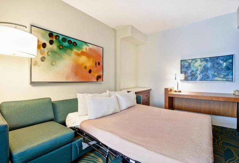 스탠다드 스튜디오, Springhill Suites By Marriott Baltimore Bwi Airport