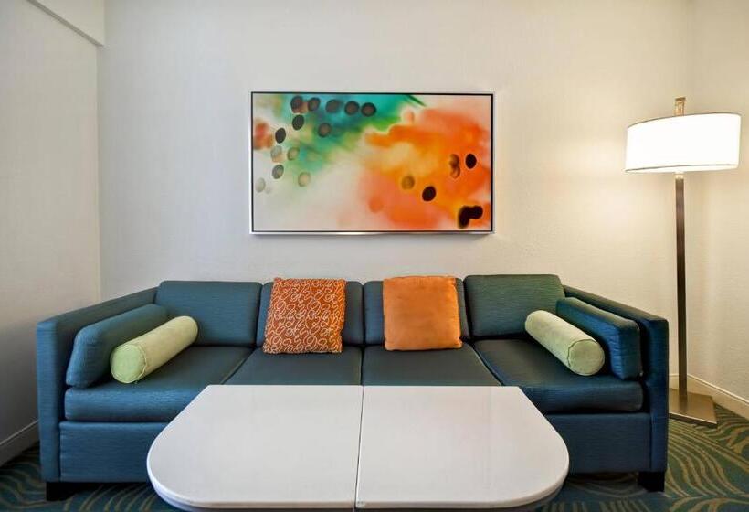 스탠다드 스튜디오, Springhill Suites By Marriott Baltimore Bwi Airport