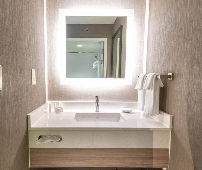 Люкс, Springhill Suites Columbus Airport Gahanna