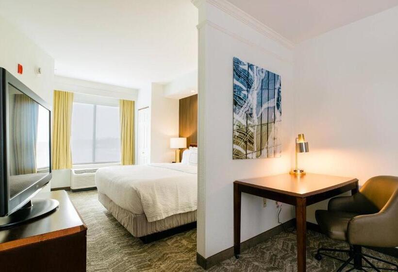 מיטת קינג בסוויטה, Springhill Suites Florence