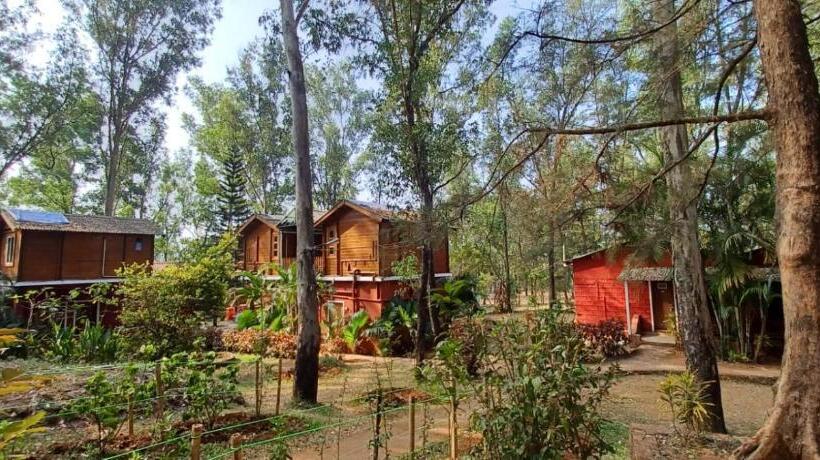 Номер Deluxe, The Jungle Resort Amba