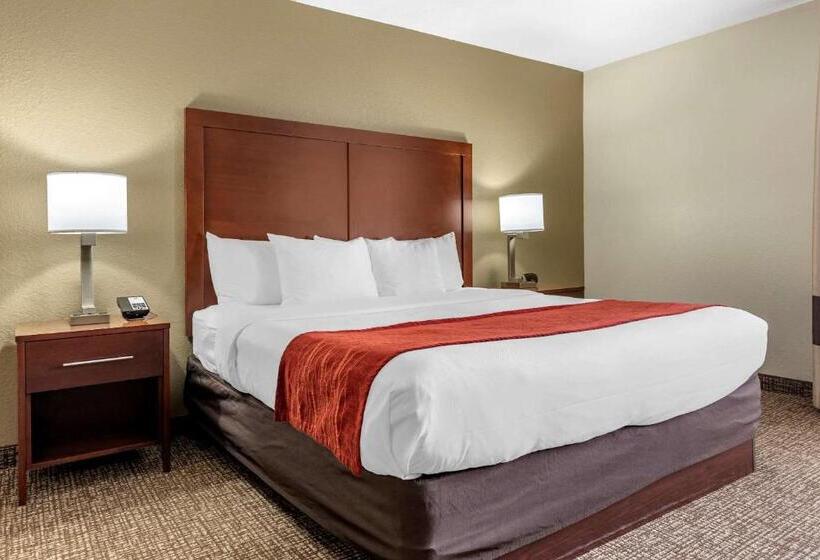 Стандартный Номер Кровать Кинг, Comfort Inn & Suites Cincinnati Eastgate