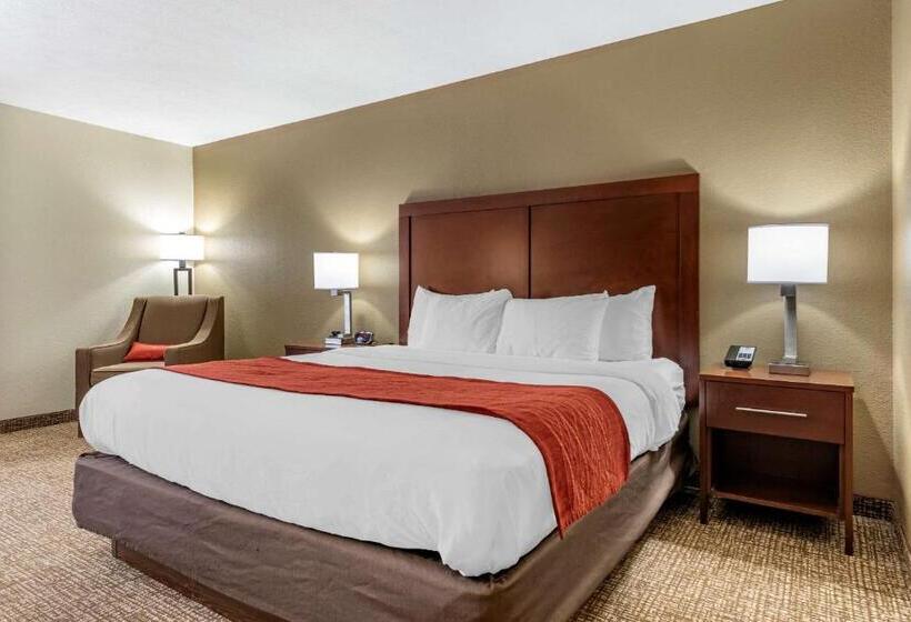 Номер Стандарт Кровать Кинг Адаптированный для Инвалидов, Comfort Inn & Suites Cincinnati Eastgate