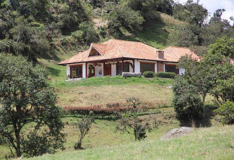 패밀리 룸, Villa Del Moján