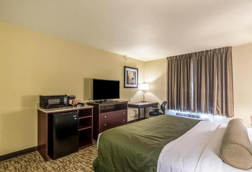 장애인을 위한 킹사이즈 침대 스탠다드 룸, Cobblestone Inn & Suites  Lakin