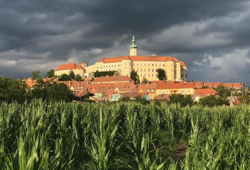 带1个卧室的顶楼公寓, Apartmány Sebastian