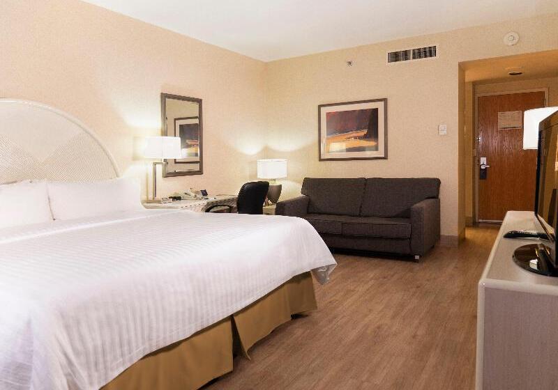 キングサイズベッドのスタンダードルーム, Holiday Inn Express Torreon, An Ihg
