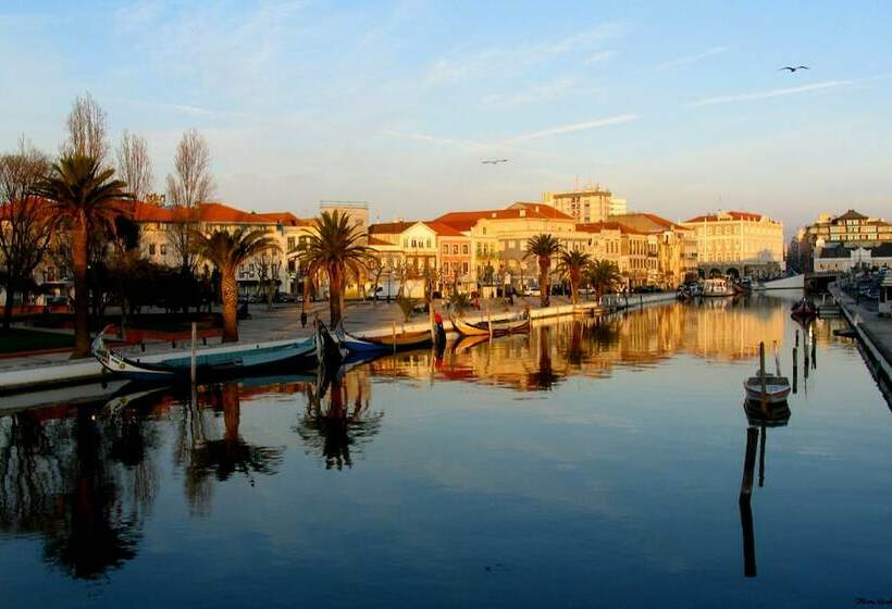 اتاق استاندارد, Moliceiro