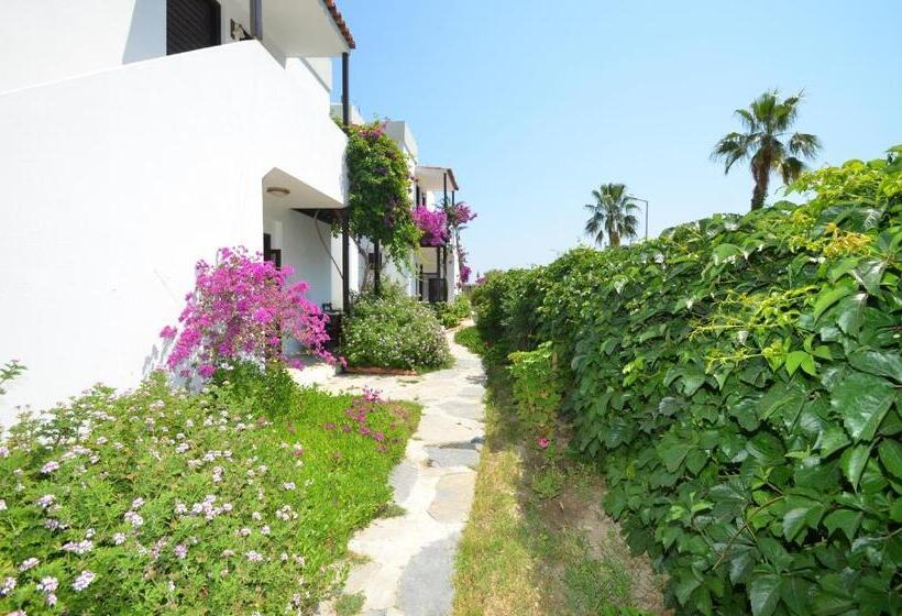 Номер Стандарт, Salinas Beach Hotel Bodrum Boutique Concept