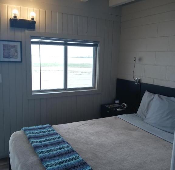 Номер Стандарт, The Cedar Motel
