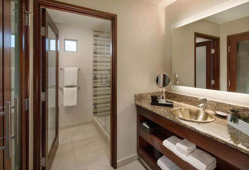 Номер Стандарт, Grand Hyatt Scottsdale Resort