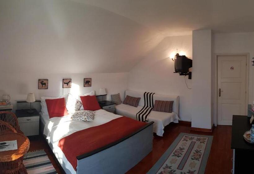 Standard room with outdoor bath, Casa Vanatorului