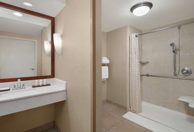 Suite, Embassy Suites By Hilton Fort Worth Downtown