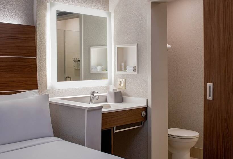스탠다드 룸, Holiday Inn Express New Orleans Downtown, An Ihg