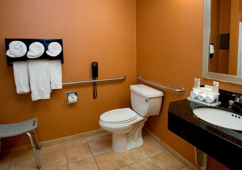 스탠다드 룸 킹사이즈 침대, Holiday Inn Express Hotel & Suites San Jose Morgan Hill, An Ihg