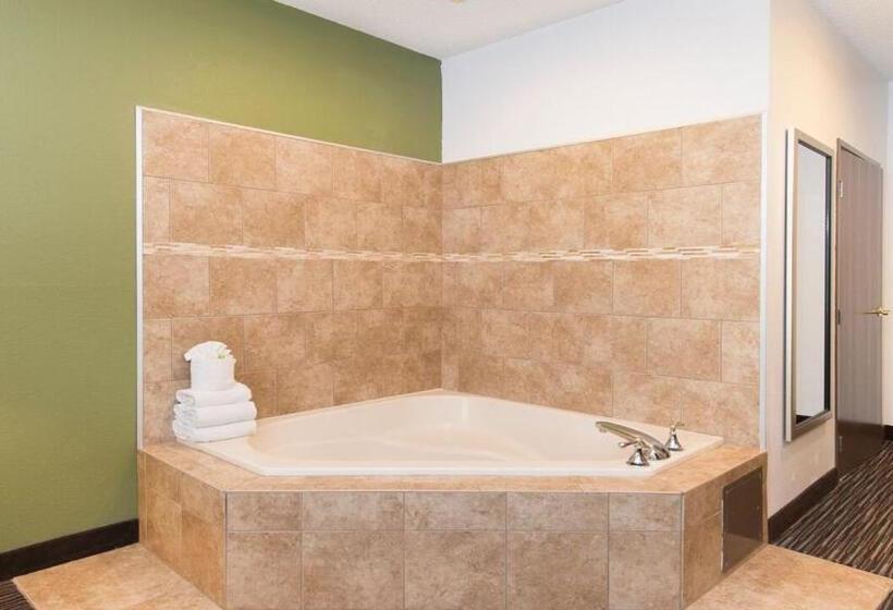 Люкс Кровать Кинг, Holiday Inn Express & Suites Chicago Deerfield Lincolnshire, An Ihg