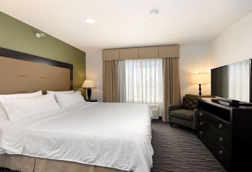 Номер Стандарт, Holiday Inn Express & Suites Chicago Deerfield Lincolnshire, An Ihg