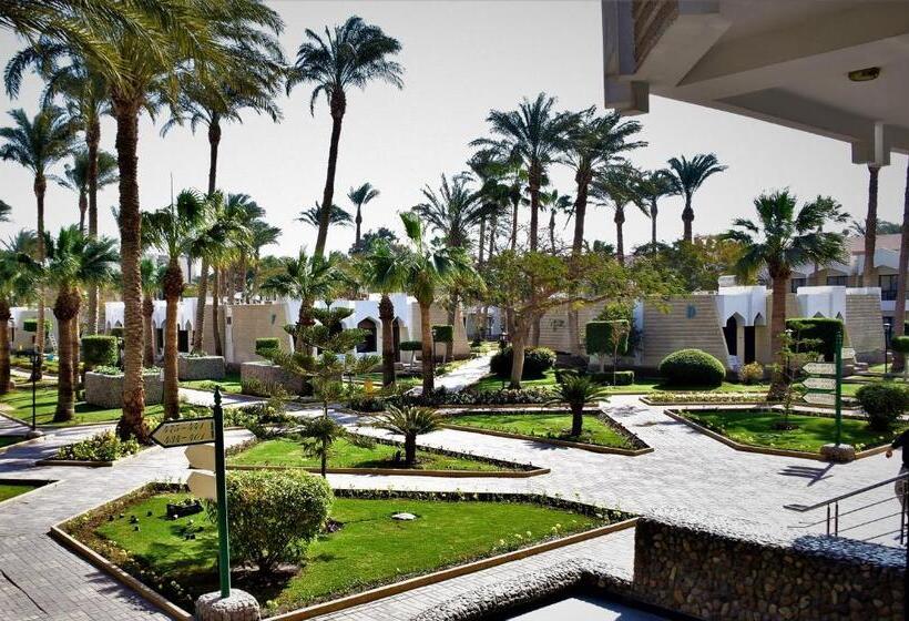 חדר סופריור נוף לבריכה, Regina Resort And Aqua Park Hurghada