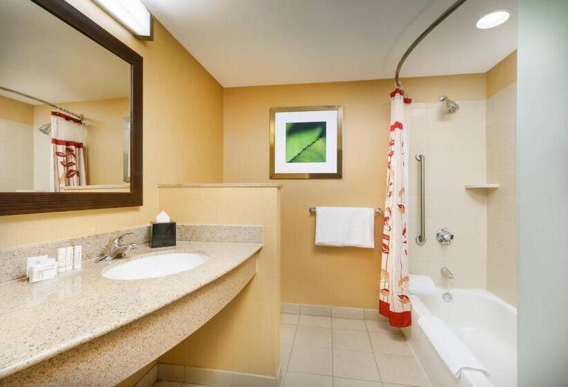 장애인을 위한 킹사이즈 침대 스탠다드 룸, Courtyard Boston South Boston