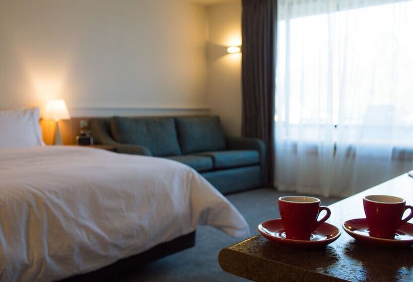 Студия Стандарт, Swiss Belresort And Villas Coronet Peak