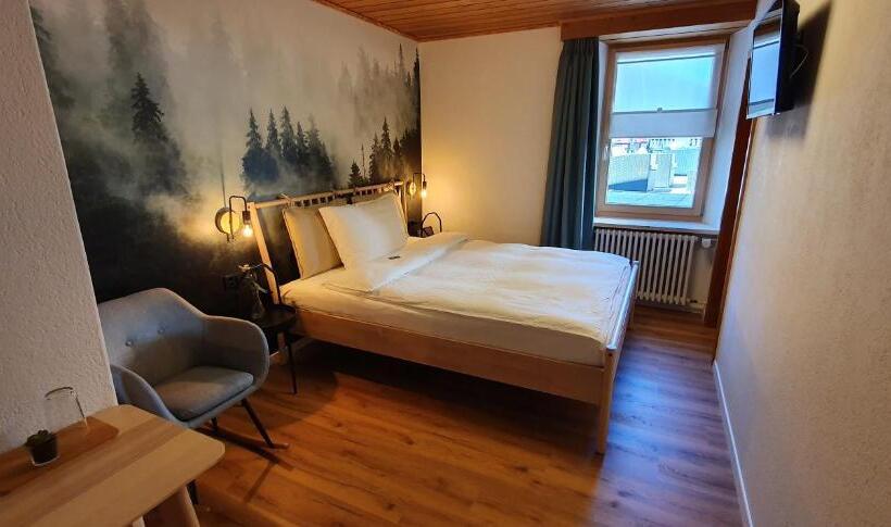 Номер Стандарт Индивидуальный, Schorta S Hotel Alvetern