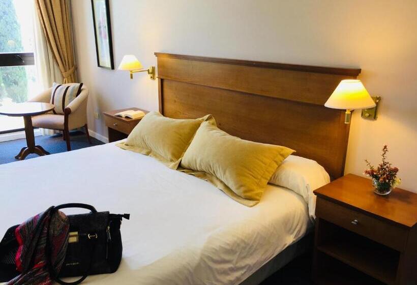 스탠다드 싱글 룸, San Miguel Plaza Hotel All Inclusive