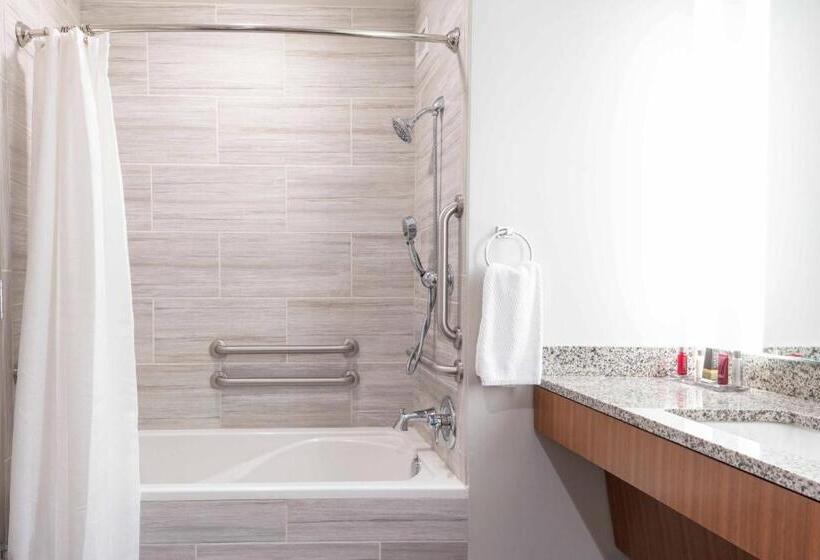 חדר סטנדרט מותאם לאדם עם מוגבלויות, Auburn Marriott Opelika Resort & Spa At Grand National