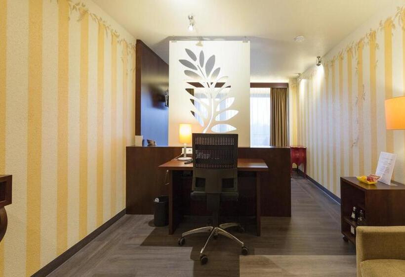 Номер Superior Одноместный, Nationalpark Hotel Schliffkopf