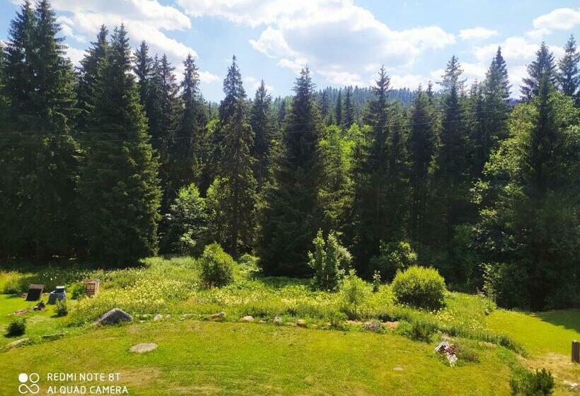 Номер Стандарт, Wellness Penzion Triola