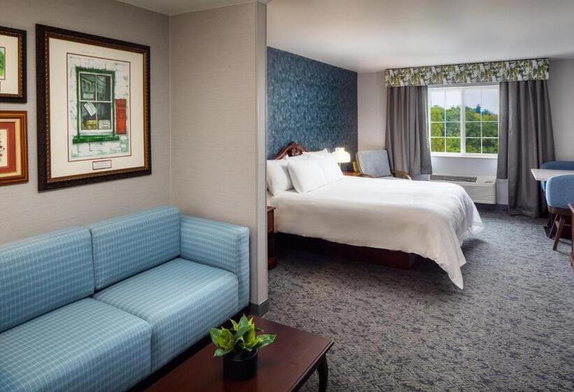 디럭스 스튜디오, Irish Cottage Inn & Suites
