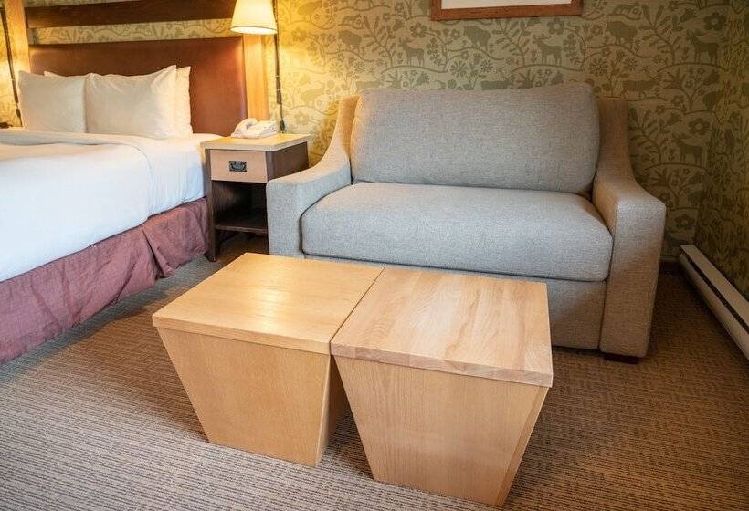 스탠다드 룸, Fox Hotel And Suites