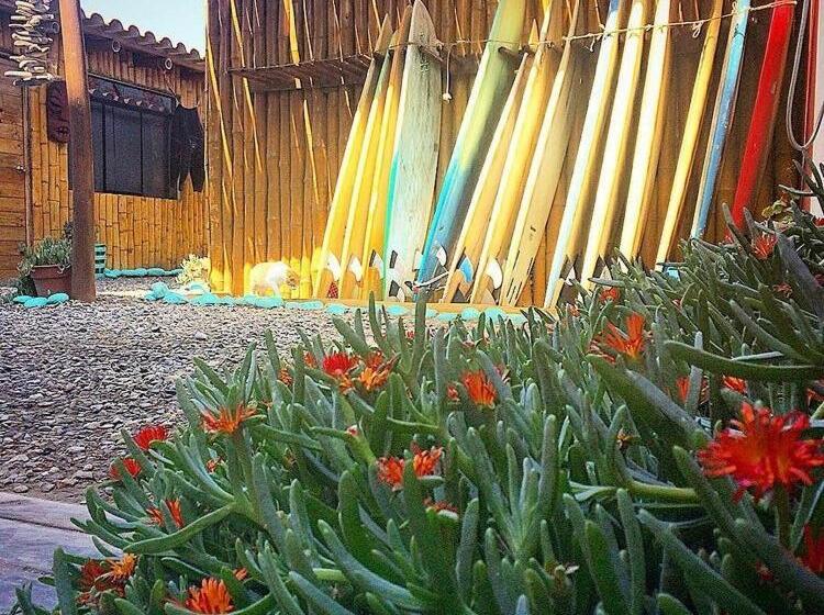 Одноместный Номер Вид на Сад, Surf House Chicama