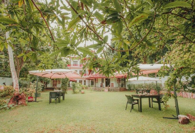 Семейный Номер, Paradise Bungalow