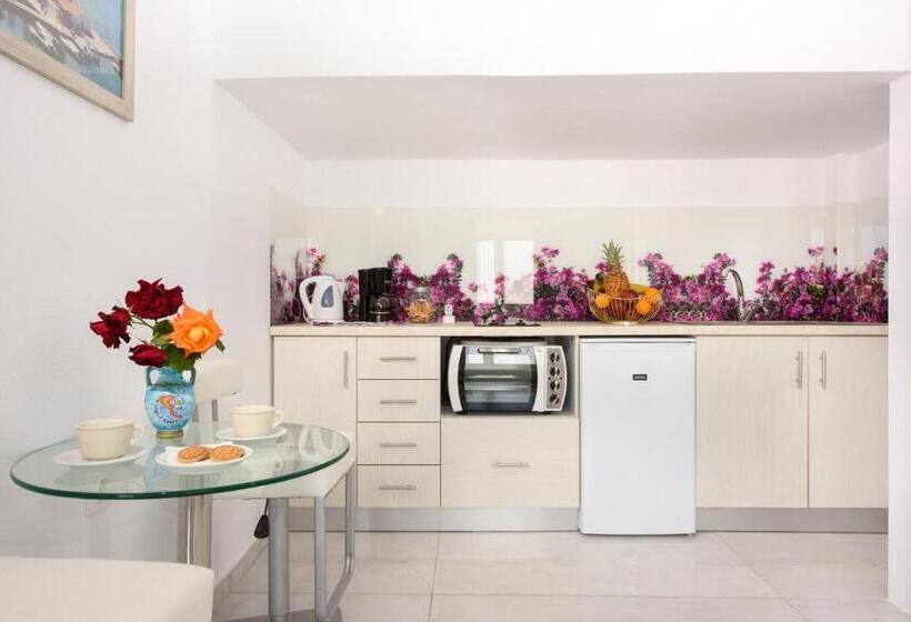 חדר סטודיו סטנדרד, Romantic Palace Beach Apartments