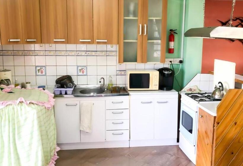استودیوی لوکس, Coco Mango Suites