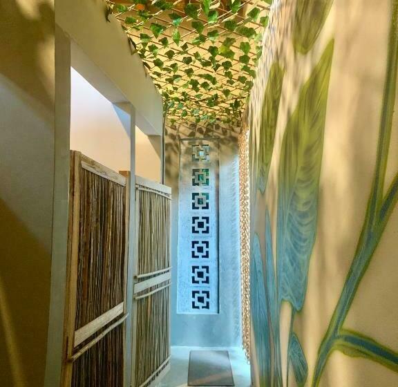 تختخواب در اتاق مشترک, Hostel Boutique Musa Paradisiaca