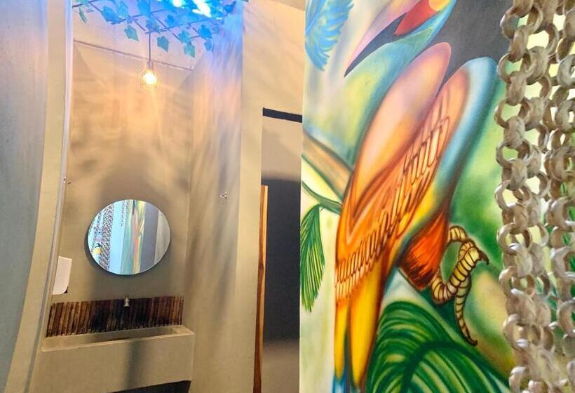 تختخواب در اتاق مشترک, Hostel Boutique Musa Paradisiaca