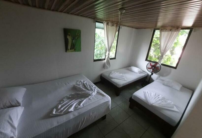 Четырехместный Номер Стандарт, Casa Caribe