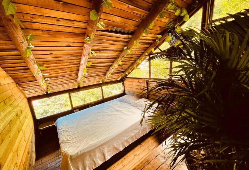اتاق استاندارد با چشم‌انداز دریا, Tamarindo Beach Hostel