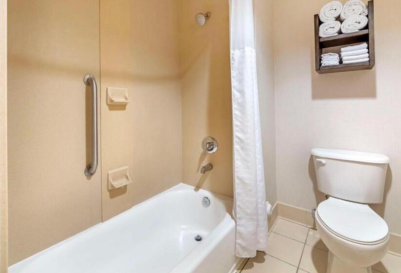 キングサイズベッドのスタンダードルーム, Best Western Plus Kendall Hotel & Suites