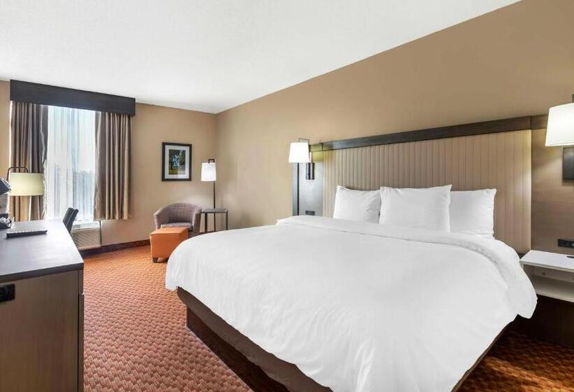 キングサイズベッドのスタンダードルーム, Best Western Plus Kendall Hotel & Suites