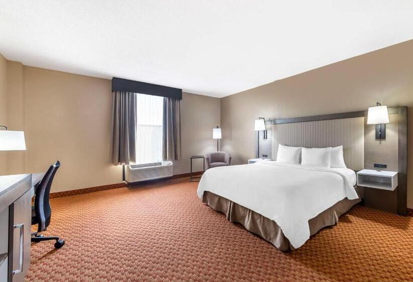 身障者適用キングサイズベッドルーム, Best Western Plus Kendall Hotel & Suites