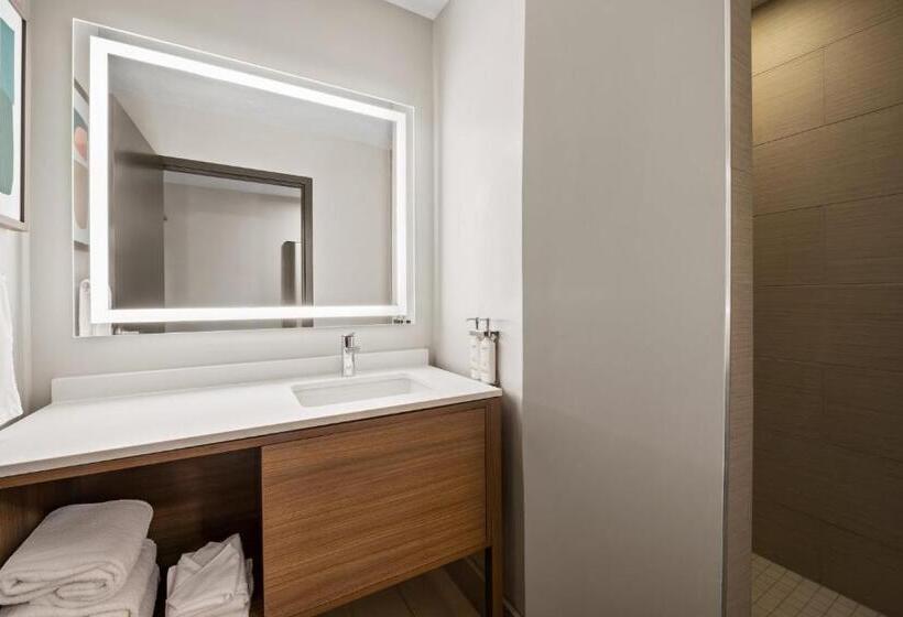 Люкс Кровать Кинг, Holiday Inn & Suites Albuquerque Airport, An Ihg