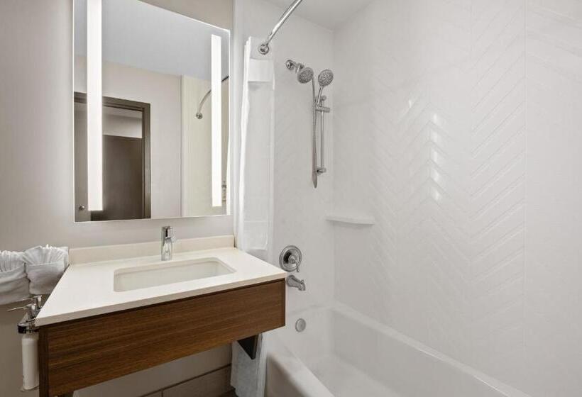 장애인을 위한 스탠다드 룸, Holiday Inn & Suites Albuquerque Airport, An Ihg